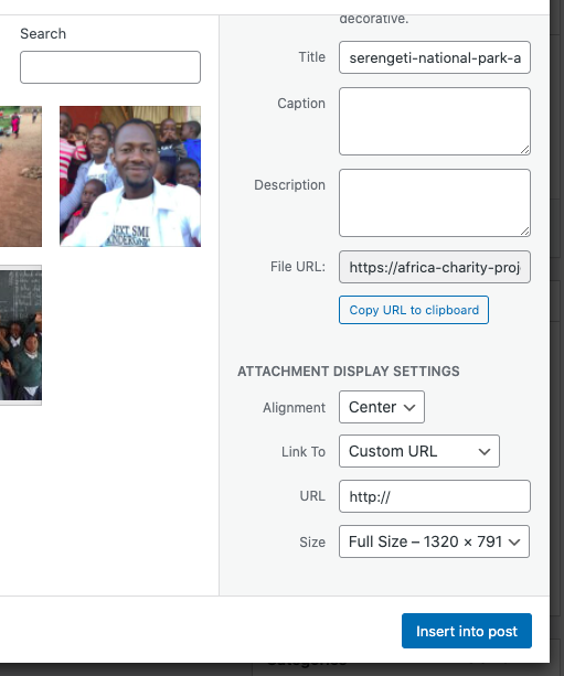 insert-image-properties-wordpress-africa-charity