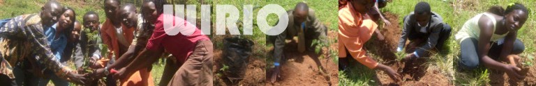 WIRIO - Planting Trees in Kenya - header.
