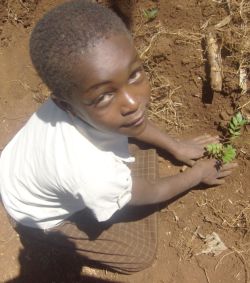 plant-planting-trees-in-kenya-logo-child