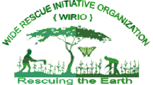 plant-planting-trees-in-kenya-logo.gif